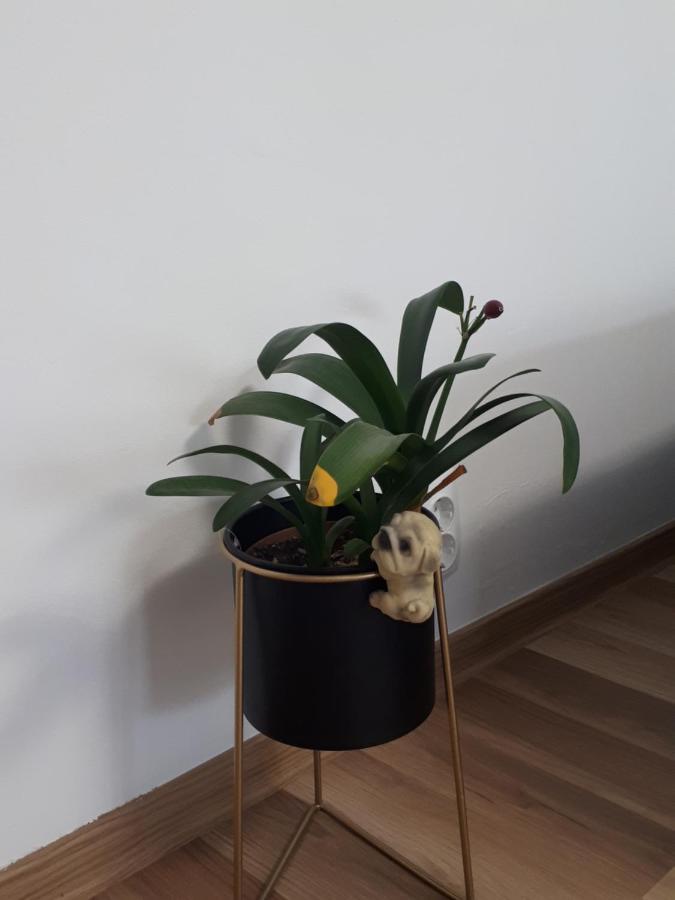 Angel Residence 锡比乌 外观 照片
